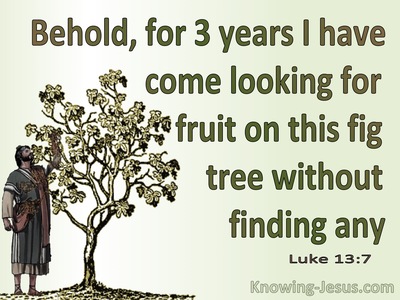 Luke 13:7 Three Years I Come Looking For Fruit On This Fig Tree And Find None (green)